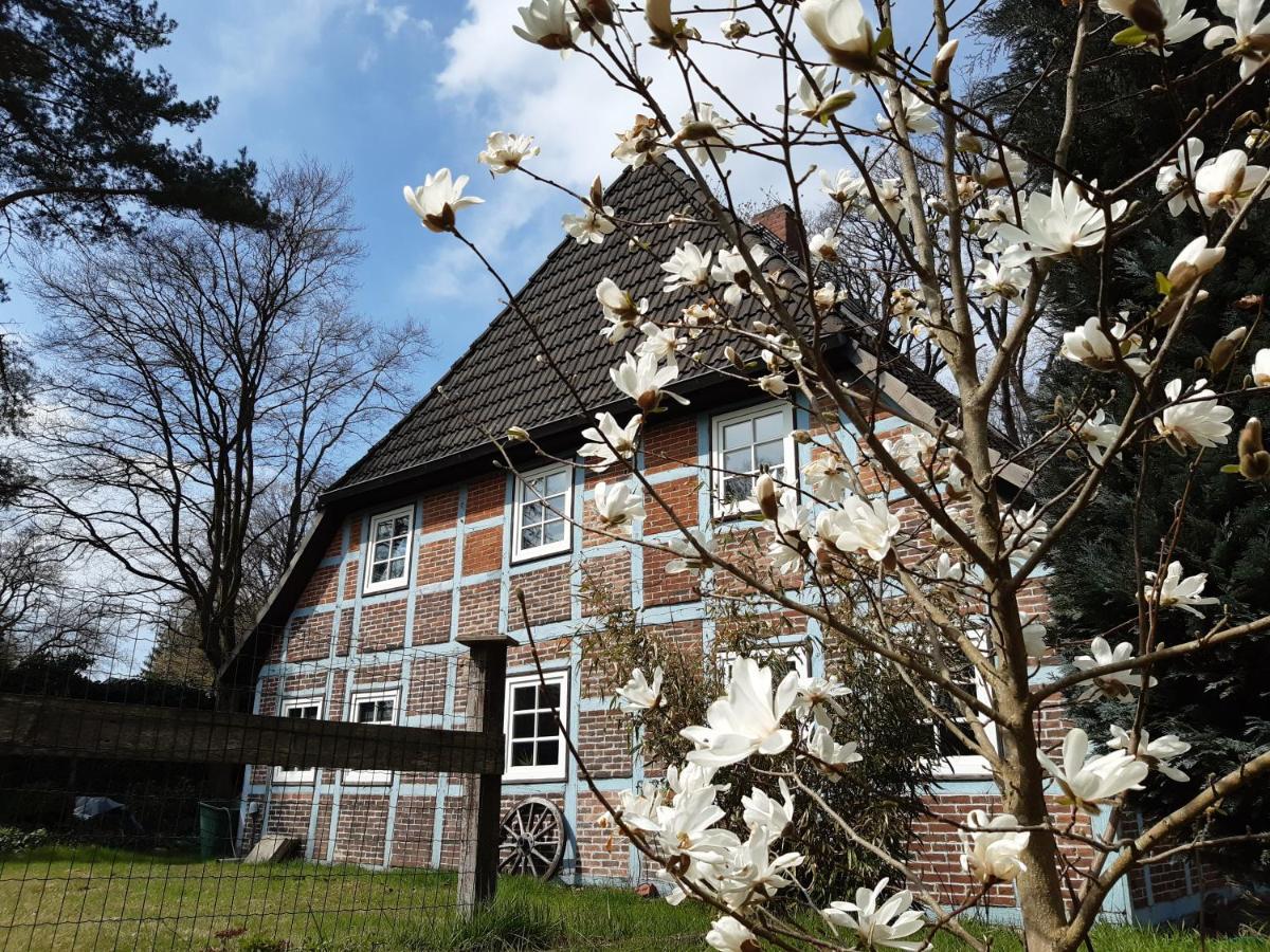 אסנדורף Schoenes Apartment Vor Den Toren Hamburgs - Keine Monteurwohnung מראה חיצוני תמונה